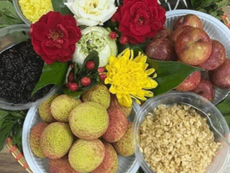 Tết Đoan Ngọ 5/5: 7 kiêng kỵ bà bầu và trẻ nhỏ tuyệt đối không phạm phải kẻo rước vận xui, điều số 4 ông bà nhắc kỹ