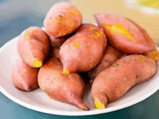 Những ai yêu thích ăn khoai lang nhất định phải xem bài viết này! Bây giờ biết cũng không phải là muộn!