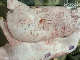 Công ty C.P “không xong rồi”: Người “tố” công ty bán l:ợn, g;à b::ệnh cho người dân chính thức tung thêm bằng chứng, quyết kh.ông đ.ể y.ên vụ này
