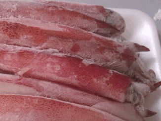 Quảng Ninh thu giữ hơn 25 tấn mực, chân gà bốc mùi