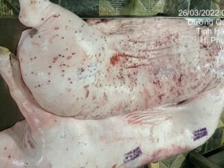 C.P. Việt Nam lên tiếng khi bị tố bán thịt heo, gà bệnh ra thị trường