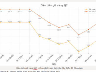 Cập nhật giá vàng sáng 31.5: