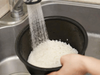 Có cần rút phích cắm nồi cơm điện sau khi cơm chín hay không: Câu trả lời thật bất ngờ