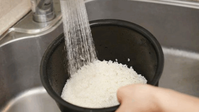 Có cần rút phích cắm nồi cơm điện sau khi cơm chín hay không: Câu trả lời thật bất ngờ Có cần rút phích cắm nồi cơm điện sau khi cơm chín hay không: Câu trả lời thật bất ngờ