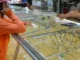 Giá vàng hôm nay, 31-5: Bất ngờ lao dốc