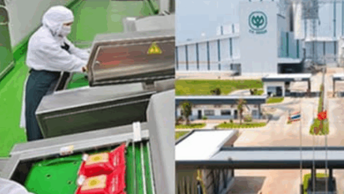 Quy mô khổng lồ của công ty C.P Việt Nam: 21 nhà máy trải khắp cả nước, thu về gần 100.000 tỷ đồng mỗi năm từ bán cám, thịt heo, gà… từng có năm lãi gần 20.000 tỷ Quy mô khổng lồ của công ty C.P Việt Nam: 21 nhà máy trải khắp cả nước, thu về gần 100.000 tỷ đồng mỗi năm từ bán cám, thịt heo, gà… từng có năm lãi gần 20.000 tỷ