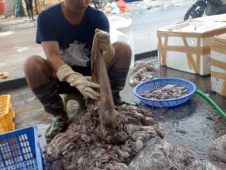 Trời ơi tại 1 một chợ hải sản nổi tiếng đây, mực mà dùng chất tẩy trắng ăn vào có mà đi gặp ông bà sớm