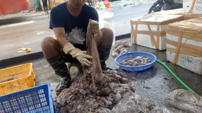 Trời ơi tại 1 một chợ hải sản nổi tiếng đây, mực mà dùng chất tẩy trắng ăn vào có mà đi gặp ông bà sớm Trời ơi tại 1 một chợ hải sản nổi tiếng đây, mực mà dùng chất tẩy trắng ăn vào có mà đi gặp ông bà sớm