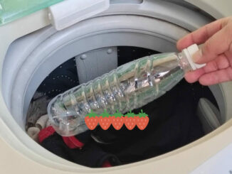 Bỏ 1 chai nhựa rỗng vào máy giặt, tôi công nhận người nghĩ ra mẹo này có IQ “đỉnh nóc”