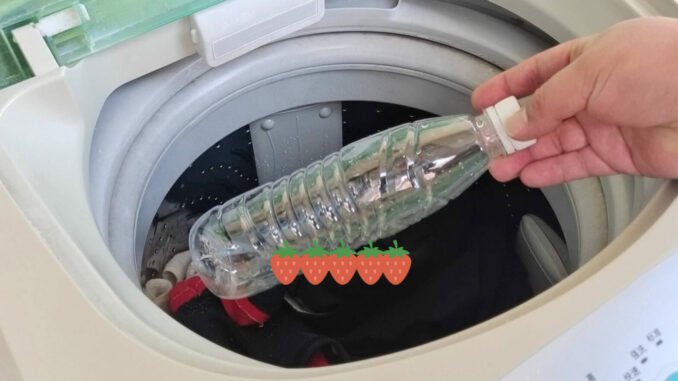 Bỏ 1 chai nhựa rỗng vào máy giặt, tôi công nhận người nghĩ ra mẹo này có IQ “đỉnh nóc” Bỏ 1 chai nhựa rỗng vào máy giặt, tôi công nhận người nghĩ ra mẹo này có IQ “đỉnh nóc”