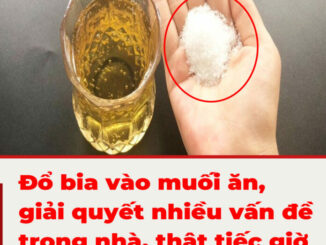 Đổ bia vào muối ăn, giải quyết nhiều vấn đề trong nhà, thật tiếc giờ tôi mới biết mẹo này