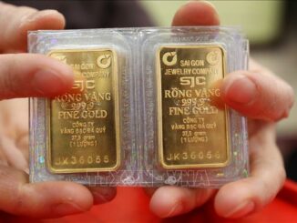 Giá vàng ngay lúc này sau khi Bảo Tín Minh Châu và SJC bị ph:.ạt: Trời ơi không thể tin nổi