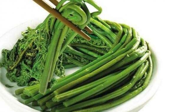3 loại rau này có khả năng gây ung thư cao, biết sớm để tránh và nói cho người thân biết nhé! 3 loại rau này có khả năng gây ung thư cao, biết sớm để tránh và nói cho người thân biết nhé!