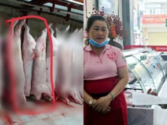 Người tố C.P Việt Nam tung thêm hình ảnh sốc về heo bệnh, doanh thu giảm sâu