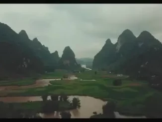 23.000 ca sốt xuất huyết, Bộ Y tế cảnh báo dịch