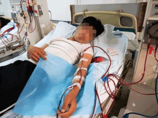 Chàng trai suy thận sau khi ăn 2 miếng rau: 2 loại rau có vị đắng phải bỏ ngay, rửa dao thớt thật kỹ