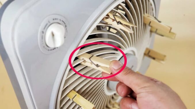 Đặt một chiếc kẹp gỗ lên quạt điện: Công dụng tuyệt vời giúp nhà mát lạnh lại đuổi muỗi hiệu quả Đặt một chiếc kẹp gỗ lên quạt điện: Công dụng tuyệt vời giúp nhà mát lạnh lại đuổi muỗi hiệu quả