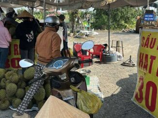 Sự thật về sầu riêng ‘mini hạt lép 30K’: Trời ạ biết ngay mà
