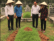 Phát hiện m/ộ gia tiên có tổ mối đùn lên, cả họ góp tiền sửa sang cho các cụ “mát mẻ”, nào ngờ ngày động thổ, cô con dâu h:ốt ho:ảng chạy đến, gào to…