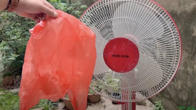 Vệ sinh quạt điện không cần tháo khung, làm theo cách này là loại bỏ hết bụi bẩn Vệ sinh quạt điện không cần tháo khung, làm theo cách này là loại bỏ hết bụi bẩn