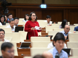 Miễn học phí: Luồng gió mới giúp mẹ yên tâm cho con đến trường