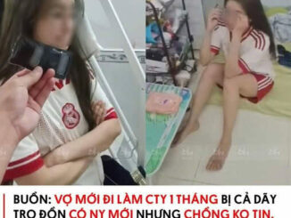 Anh trai cho vợ đi làm cty và nhận cái kết đắng