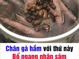 Tác dụng của chân gà hầm đậu đen tốt ngang nhân sâm