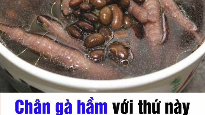 Tác dụng của chân gà hầm đậu đen tốt ngang nhân sâm Tác dụng của chân gà hầm đậu đen tốt ngang nhân sâm
