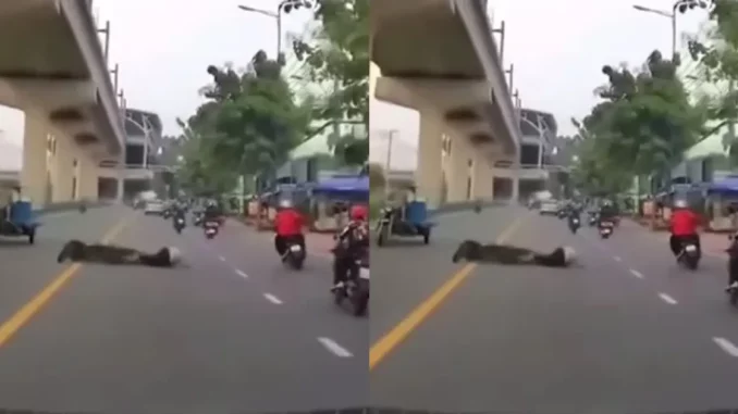 Clip: Cú ra chân ác ý, đạp nam thanh niên ngã sõng soài giữa đường, gã đàn ông được dự đoán sẽ sớm “lên phường” Clip: Cú ra chân ác ý, đạp nam thanh niên ngã sõng soài giữa đường, gã đàn ông được dự đoán sẽ sớm “lên phường”