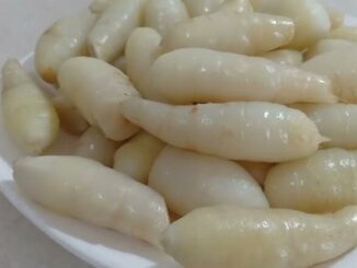 Sản vật “dưới lòng đất” xưa dành cho người nghèo, nay thành đặc sản nổi tiếng bổ ngang nhân sâm, tốt cho sức khỏe