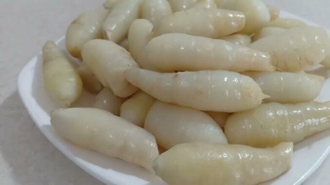 Sản vật “dưới lòng đất” xưa dành cho người nghèo, nay thành đặc sản nổi tiếng bổ ngang nhân sâm, tốt cho sức khỏe Sản vật “dưới lòng đất” xưa dành cho người nghèo, nay thành đặc sản nổi tiếng bổ ngang nhân sâm, tốt cho sức khỏe