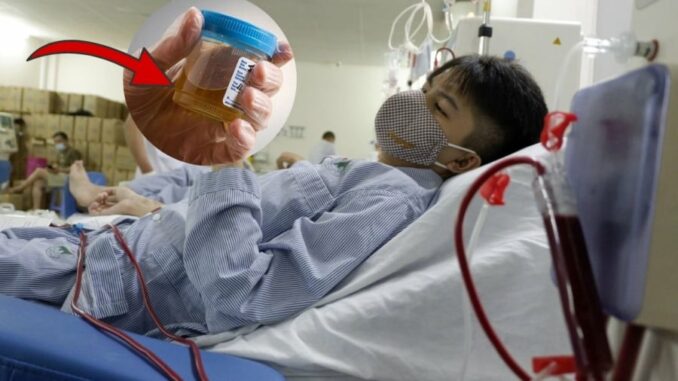 2 dấu hiệu hỏng thận: Buổi sáng nước tiểu có dấu hiệu này phải gặp bác sĩ ngay 2 dấu hiệu hỏng thận: Buổi sáng nước tiểu có dấu hiệu này phải gặp bác sĩ ngay