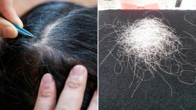 Thường xuyên nhổ tóc bạc, tóc sâu gây ra 4 tác hại này