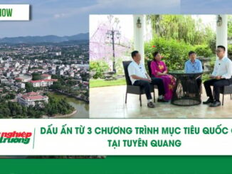 Dấu ấn từ 3 chương trình mục tiêu quốc gia tại Tuyên Quang