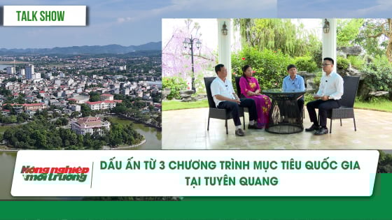 Dấu ấn từ 3 chương trình mục tiêu quốc gia tại Tuyên Quang Dấu ấn từ 3 chương trình mục tiêu quốc gia tại Tuyên Quang