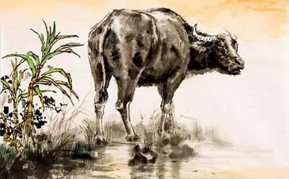 Đúng Rằm tháng 5, ba t:uổi giàu bất ngờ, thời tới cản không nổi Đúng Rằm tháng 5, ba t:uổi giàu bất ngờ, thời tới cản không nổi