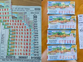 Vợ chồng nghèo đi bán vé số giữ lại 2 tờ, chiều trúng luôn tiề.n khủng