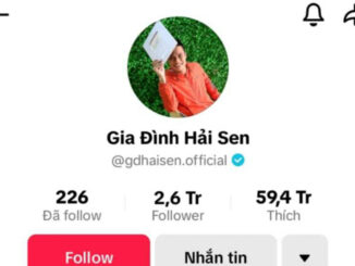 Nóng: Bắt giữ chủ kênh TikTok ‘Gia đình Hải Sen’ có hàng triệu người theo dõi