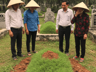 Ở làng Đông, nhà họ Nguyễn vốn là một dòng họ lớn, đông con cháu, nổi tiếng hiếu thảo và đoàn kết