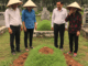 Ở làng Đông, nhà họ Nguyễn vốn là một dòng họ lớn, đông con cháu, nổi tiếng hiếu thảo và đoàn kết