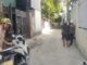 Hiện trường nghi án dùng dao tấn công 3 người trong gia đình gây rúng động Huế