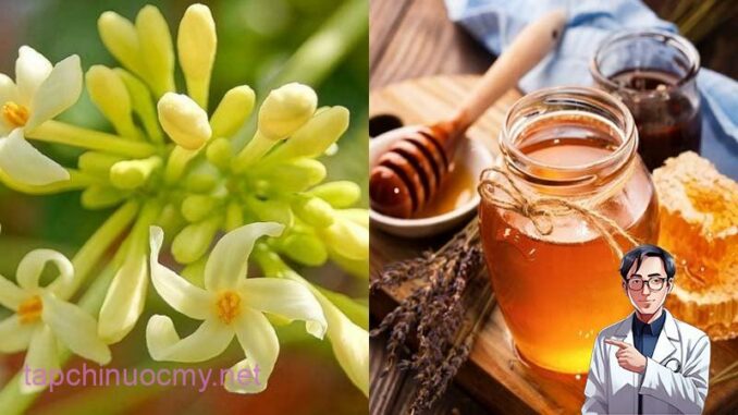 Hoa đu đủ đực ngâm cùng thứ này ‘quý như vàng’: Lợi ích tuyệt vời nhà nào cũng cần Hoa đu đủ đực ngâm cùng thứ này ‘quý như vàng’: Lợi ích tuyệt vời nhà nào cũng cần