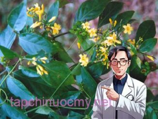 Lá ngón: Chất độ c chế t người ở vùng núi và cách cấp cứu ngộ độc lá ngón hiệu quả