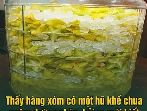 Thấy hàng xóm có một hũ khế chua ngâm đường phèn, hỏi ra mới biết nó nhiều công dụng vậy Thấy hàng xóm có một hũ khế chua ngâm đường phèn, hỏi ra mới biết nó nhiều công dụng vậy
