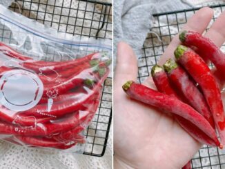 Mẹo bảo quản ớt cả năm không hỏng