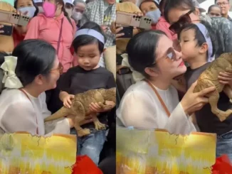 Vợ Quý Bình tiết lộ sự thật sau 100 ngày giấu kí