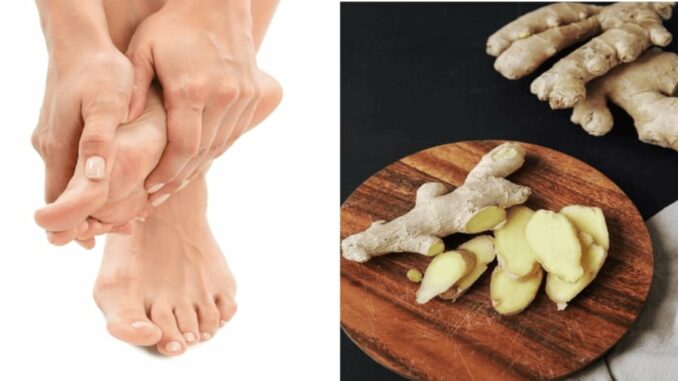 Xoa gừng vào lòng bàn chân trước khi đi ngủ, bạn sẽ nhận thấy những công dụng “thần kỳ” đối với sức khỏe Xoa gừng vào lòng bàn chân trước khi đi ngủ, bạn sẽ nhận thấy những công dụng “thần kỳ” đối với sức khỏe