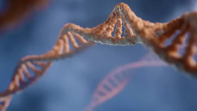 Phát hiện gene đột biến giúp con người khỏe mạnh dù chỉ ngủ 3 tiếng mỗi đêm Phát hiện gene đột biến giúp con người khỏe mạnh dù chỉ ngủ 3 tiếng mỗi đêm