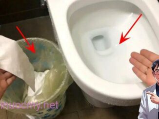 Nên vứt giấy vệ sinh vào thùng rác hay bồn cầu? Việc đơn giản nhưng không phải ai cũng thực hiện đúng