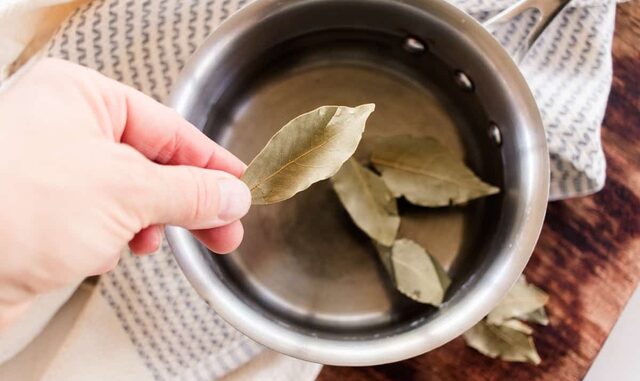 Loại lá dân dã ở Việt Nam lại có giá 2 triệu đồng/kg ở Mỹ: Là dược liệu quý, tiềm năng phòng u-ng thư Loại lá dân dã ở Việt Nam lại có giá 2 triệu đồng/kg ở Mỹ: Là dược liệu quý, tiềm năng phòng u-ng thư